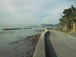 幡豆町の海沿いの道