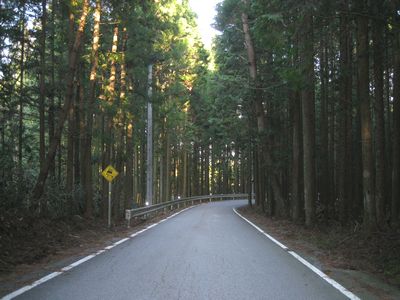 愛知県道80号東栄稲武線 設楽町津具
