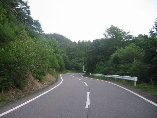 長野県道46号阿南根羽線 根羽村 売木峠西