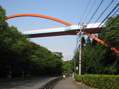 虹のかけ橋