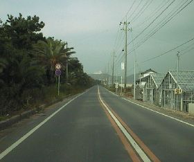 国道42号 渥美町 日出の石門へ