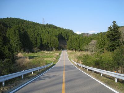ささぐれもみじ街道 設楽町東納庫
