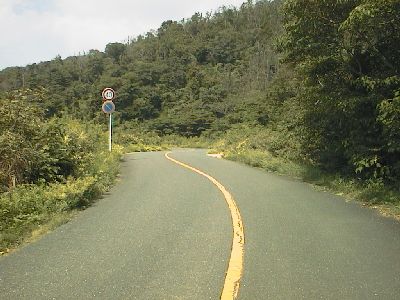 蔵王山ドライブウェイ 南口道路