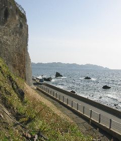 国道339号 七つ滝付近