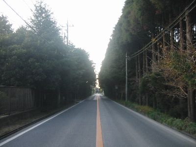 大仏通り 市原市潤井戸