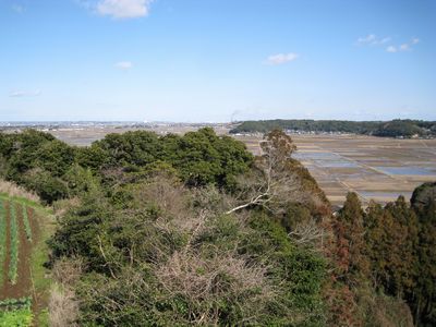 府馬の大クス展望公園 展望台からの眺め