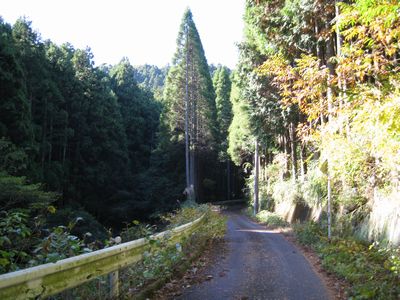 千葉県道185号犬掛館山線 南房総市富浦町大津