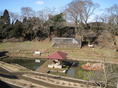 道の駅くりもと ザリガニ池 クジャク園