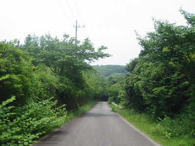 嶺岡中央林道1号線