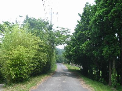 䉪ѓ2
