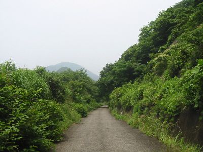嶺岡中央林道3号線 東部