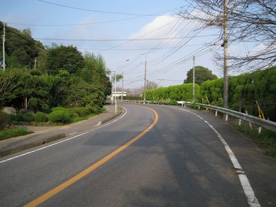 大総新道 横芝光町坂田 ふれあい坂田池公園の隣り