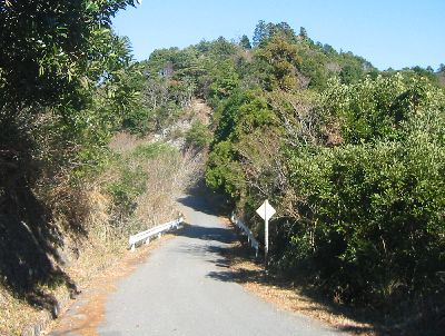 林道渕ヶ沢奥米線 君津市奥米