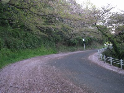近見山ドライブウェー 南の方