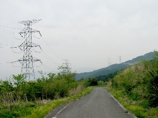 観音谷林道