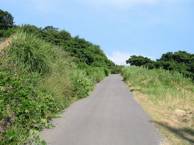 愛媛県道337号名駒友浦線