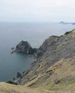 高茂岬