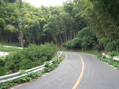 南筑後オレンジロード みやま市高田町田浦