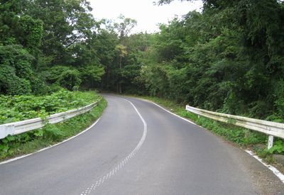 金谷川スカイライン