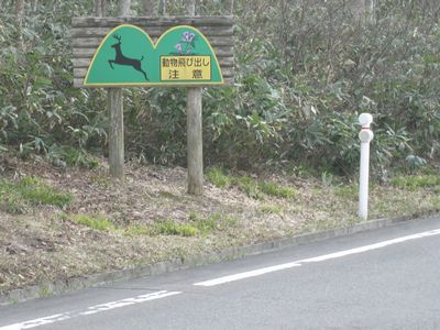 ふるさと林道道木沢線 動物飛び出し注意