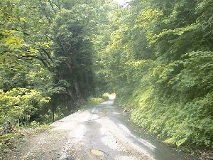 塚林道 藤橋村