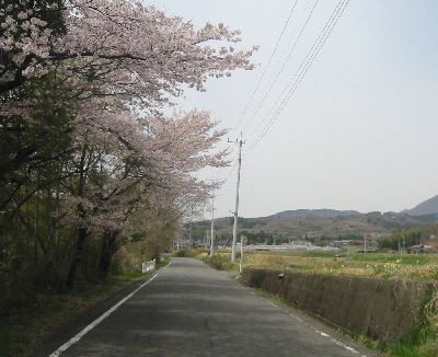 榛名農免農道