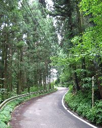 県道33号 渋川松井田線 増田川へ出る前