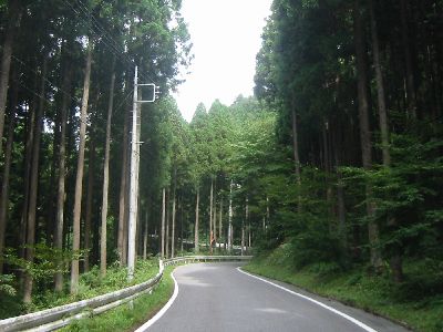 群馬県道43号下仁田軽井沢線 下仁田町西野牧 和美峠〜初鳥屋