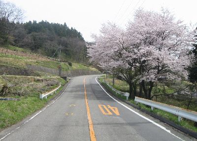 西碓氷広域農道