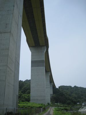 싴@