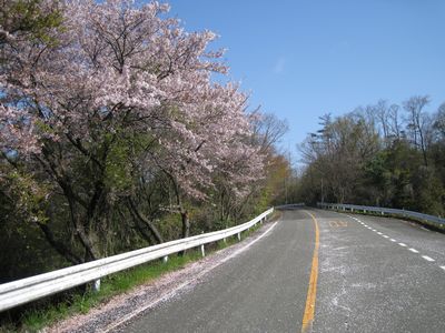 福山グリーンライン ファミリーパークの南の駐車場前