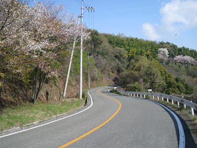 福山グリーンライン 中川美術館入口の北