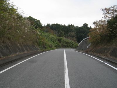 ハイヅカ湖の道 三次市三良坂町仁賀 ハイヅカ湖畔の森の横