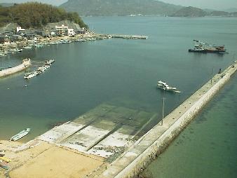 鹿島大橋より