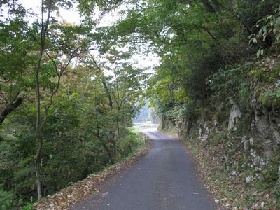 広島県道437号大津横谷線 三次市作木町森山中