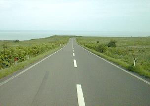 能取岬への道