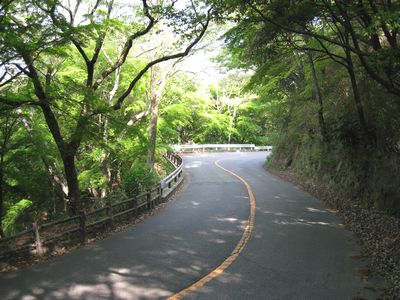 再度ドライブウェイ 堂徳山付近