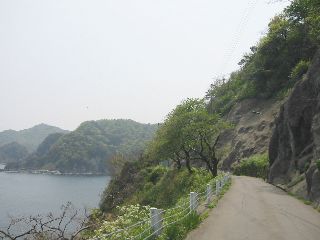 三尾御崎林道 余部 海沿いの崖の上