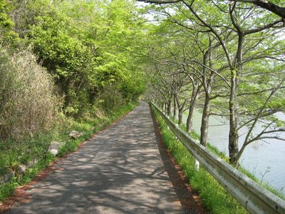 千丈寺湖の道 三田市下青野