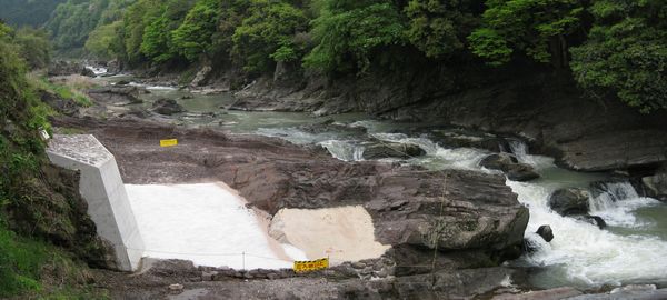丹波竜発掘地