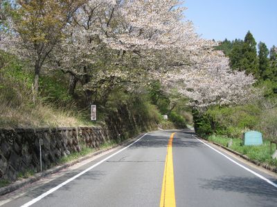 裏六甲ドライブウェイ