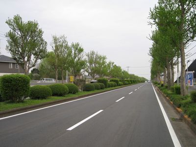 学園東大通り つくば市筑穂