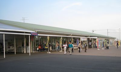 道の駅ごか