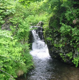 龍馬の滝