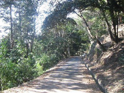 富谷山南側の登山道