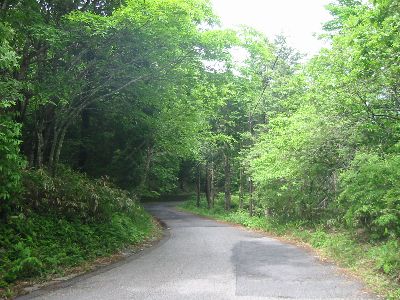 八溝林道