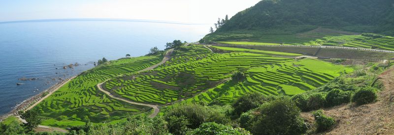 白米の千枚田