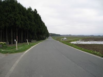 胆沢広域農道 北上市和賀町岩崎