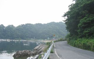 白浜の道