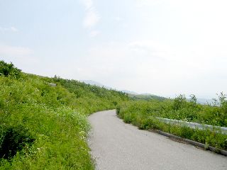 スリーグリーンライン 貞任山口牧場